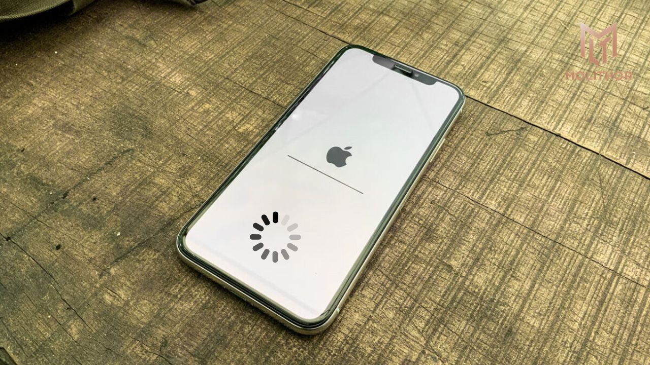 iphone bi dung may treo logo apple 1