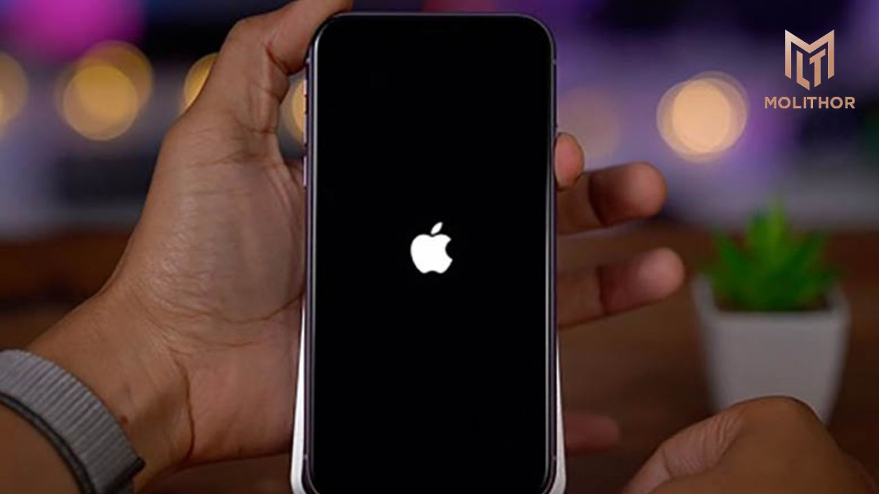 Nguyên nhân khiến iPhone bị đứng máy, treo logo Apple